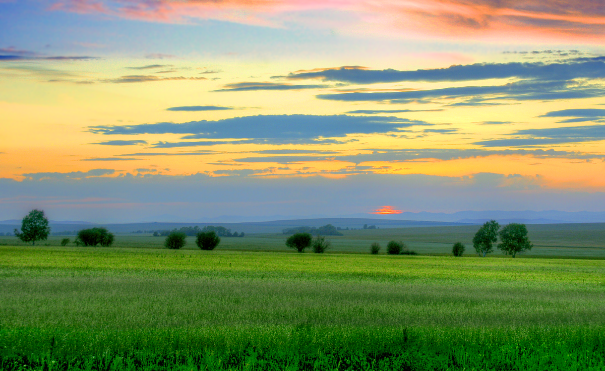 Фотография, стихотворение Василия Глуцкого