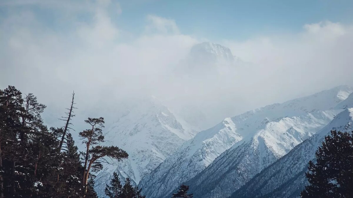     Источник: 1MI