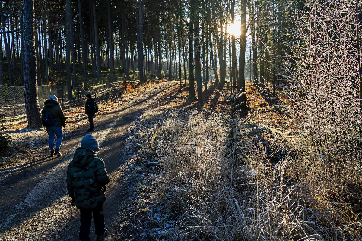 фото мужа: гуляем по лесу над Карловыми Варами