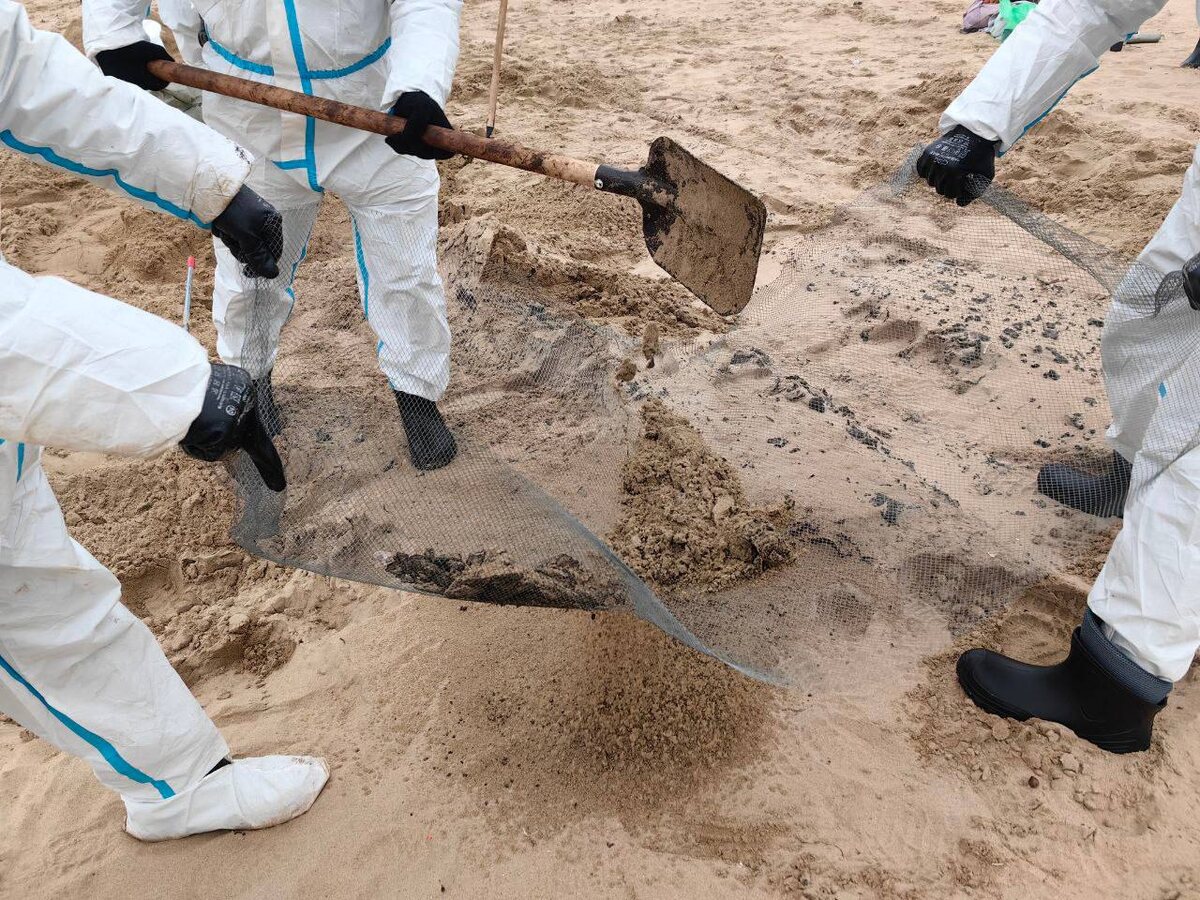 Telegram-канал губернатора Кубани Вениамина Кондратьева