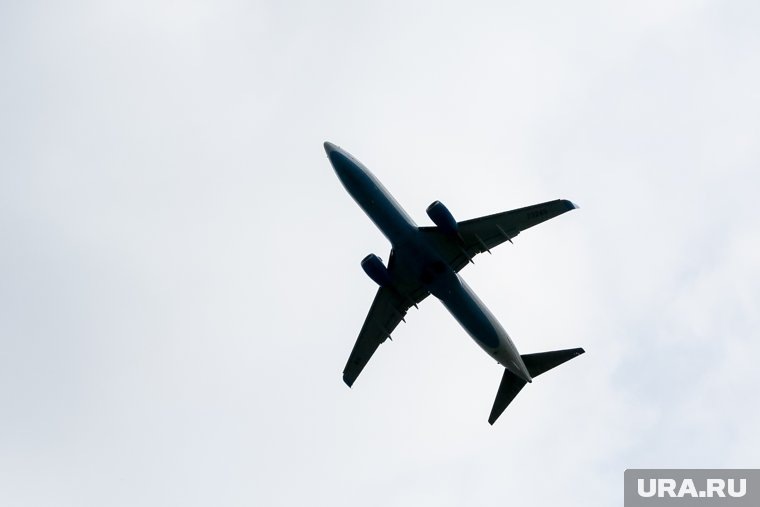 В январе в Белгородской области был сбит самолет с военнопленными ВСУ
Фото: Денис Моргунов © URA.RU
