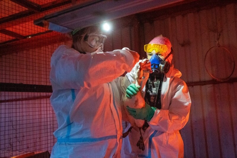    Фото: пресс-служба Оперштаба Краснодарского края