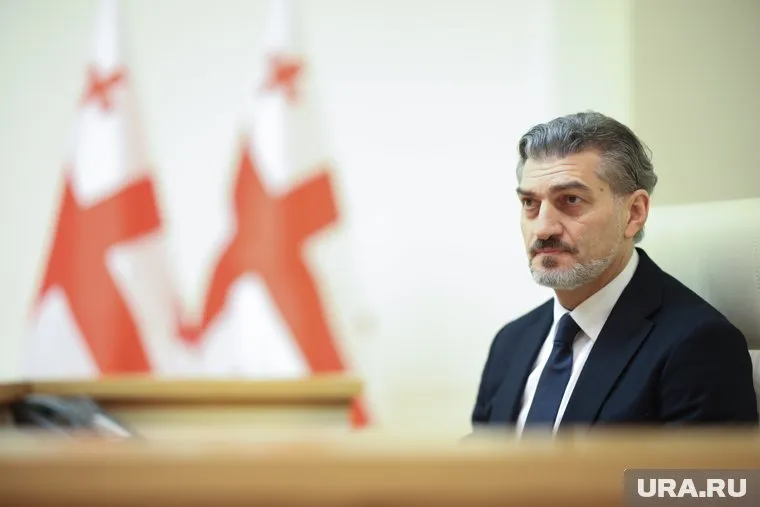 Новый президент Грузии Михаил Кавелашвили известен своими антизападными высказываниями
Фото: Zhong Zhong/Global Look Press