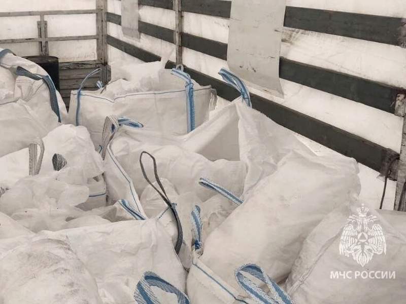    Фото: пресс-служба ГУ МЧС России по Пензенской области