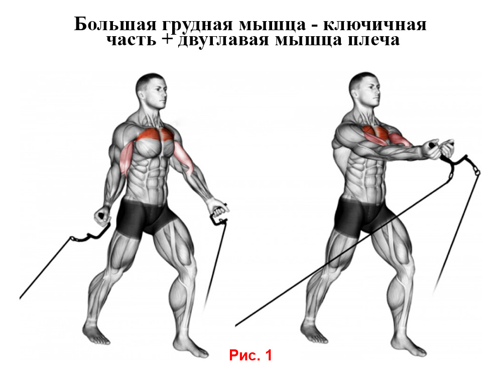 Грудные мышцы симптомы. Спазмированные мышцы груди. Миофасциальный синдром грудной мышцы. Гипоплазия грудной мышцы. Разрыв грудной мышцы мендельсон.