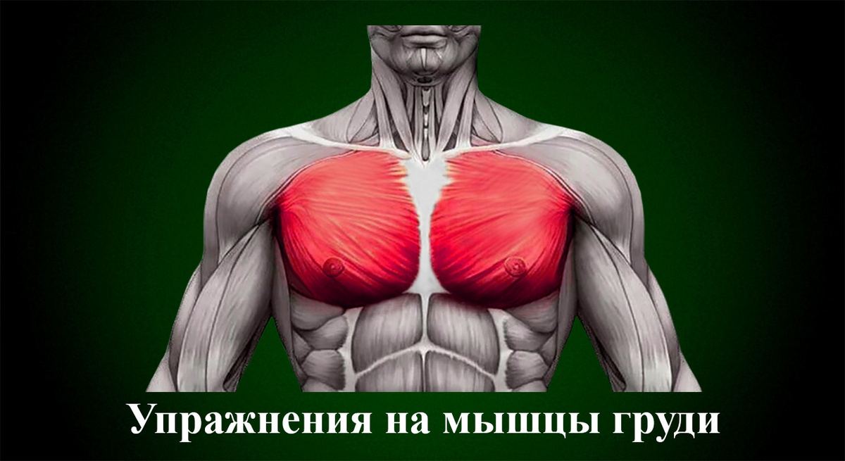 Упражнения на мышцы груди