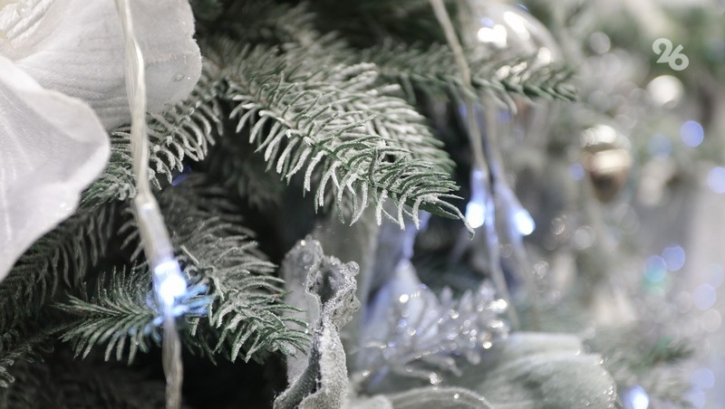      Фото: ИА «Победа26»