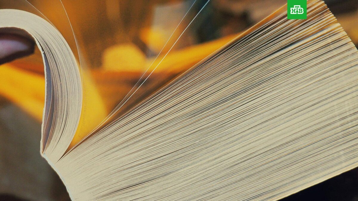    Фото: Anastasia Zhenina / unsplash.com