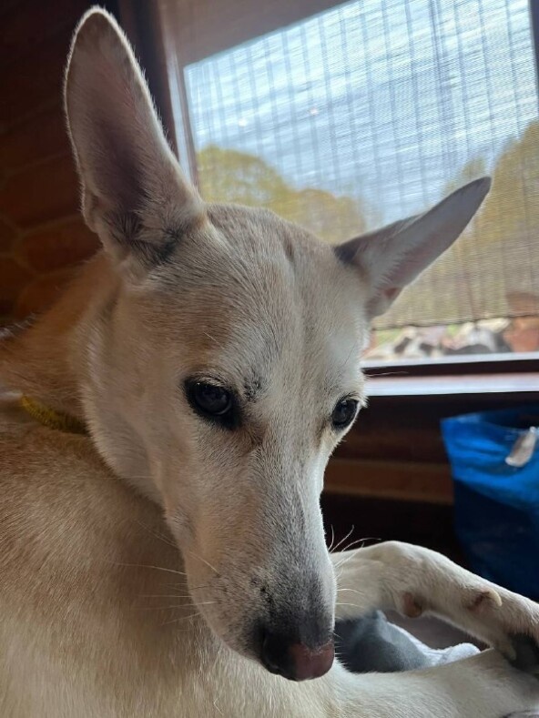 Знакомьтесь, Шанти