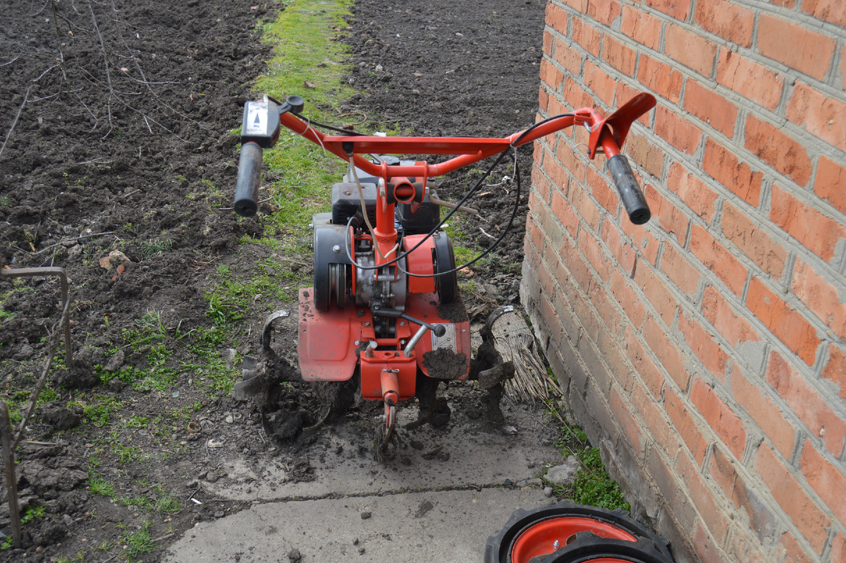 Фото автора. Весна 2024. Пора пахать!