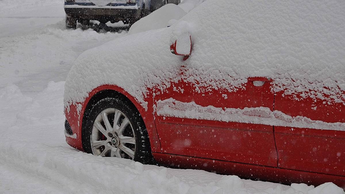   Фото: Анна Быкова / Вечерняя Москва