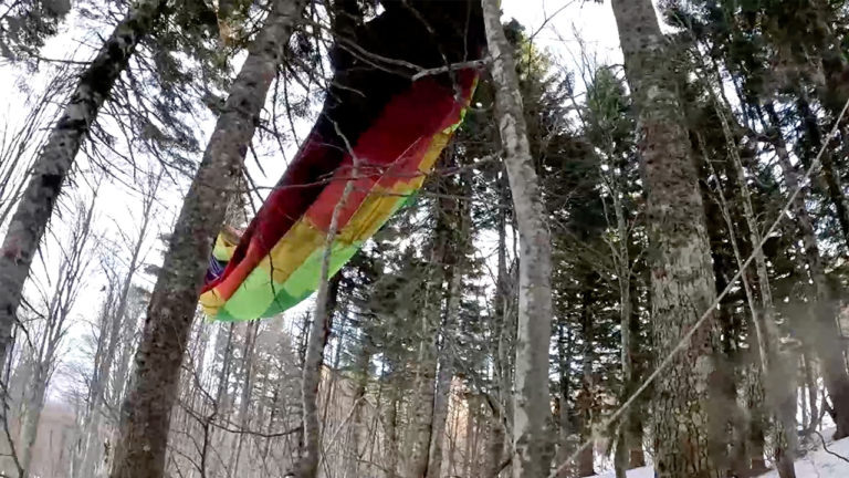 Пойдем в сочи. Пойдем в сочи. Пойдем в сочи. Адлер сочи парк. Сочи парк в апреле.