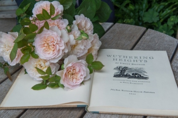 Эмили Бронте, фото из интернета