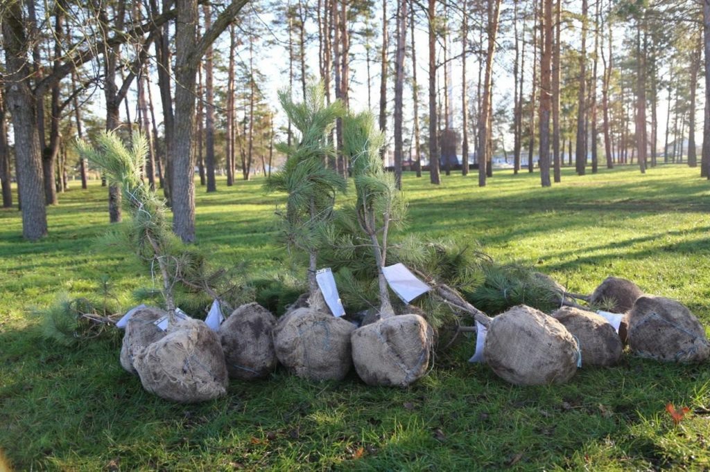    Фото предоставлено командой депутата Госдумы Ивана Демченко. tamannews