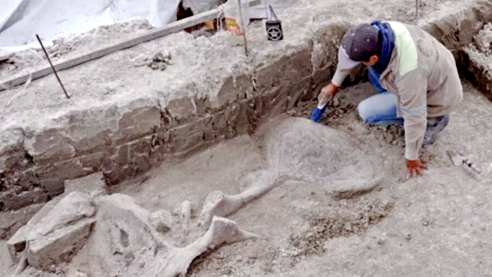 Фото с места раскопок. Источник: www.nature.com