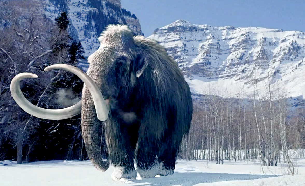 Снимок: culture.ru