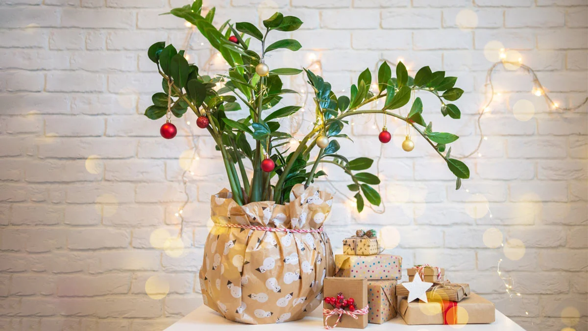 Авторские права: Copyright (c) 2021 Marys Poly/Shutterstock. 