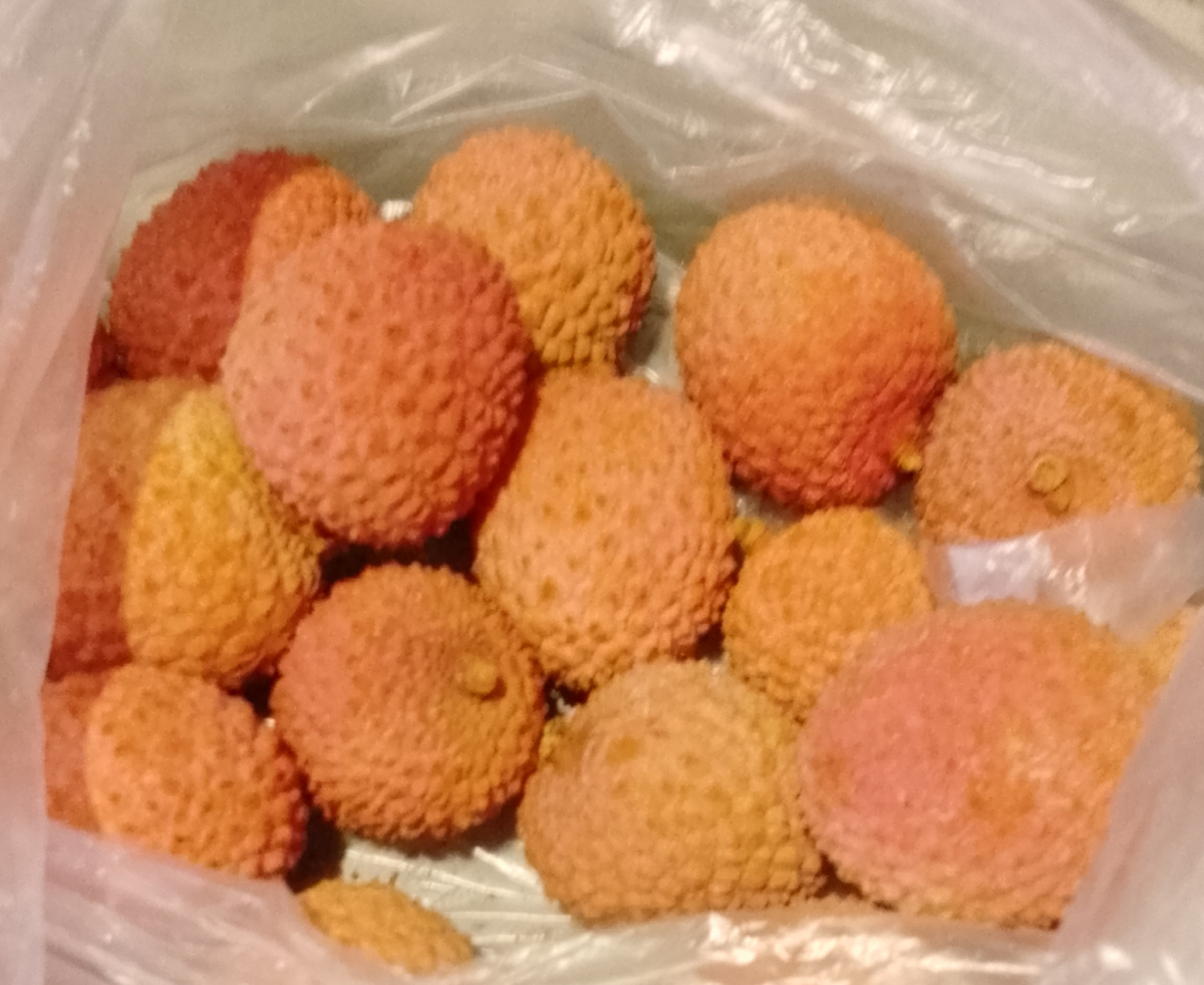 Личное фото