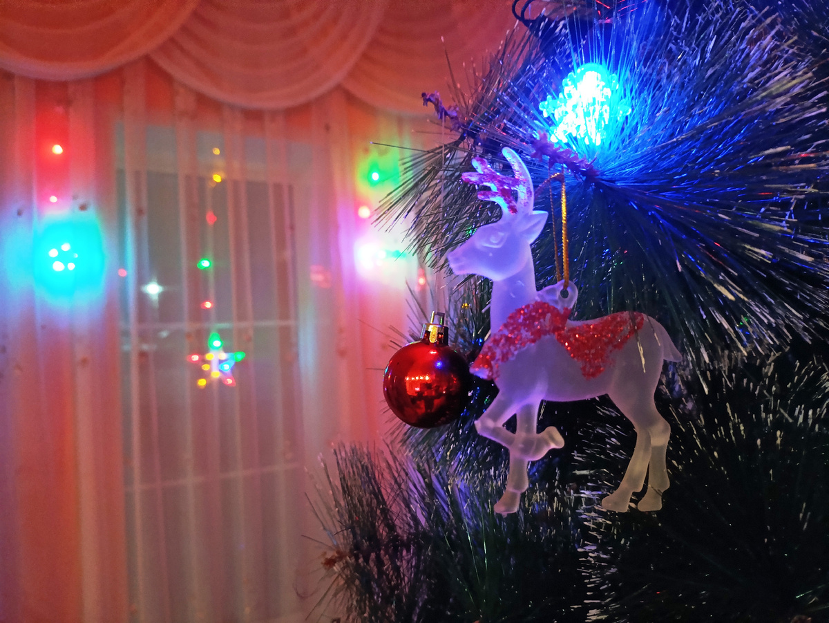 Фотография автора статьи.