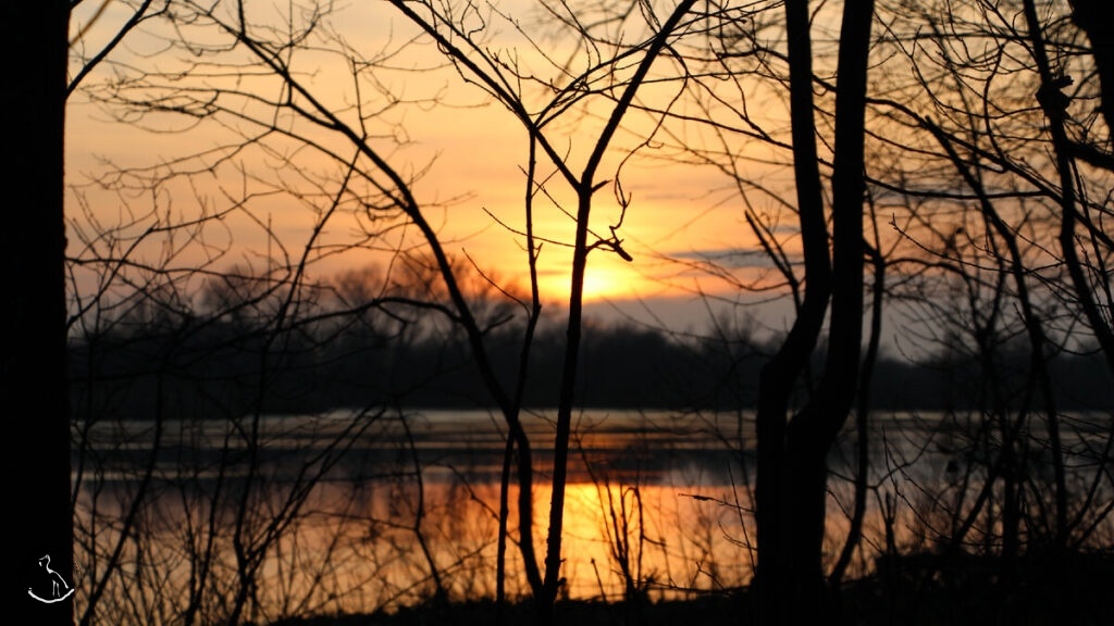    Закат. Анна Власова