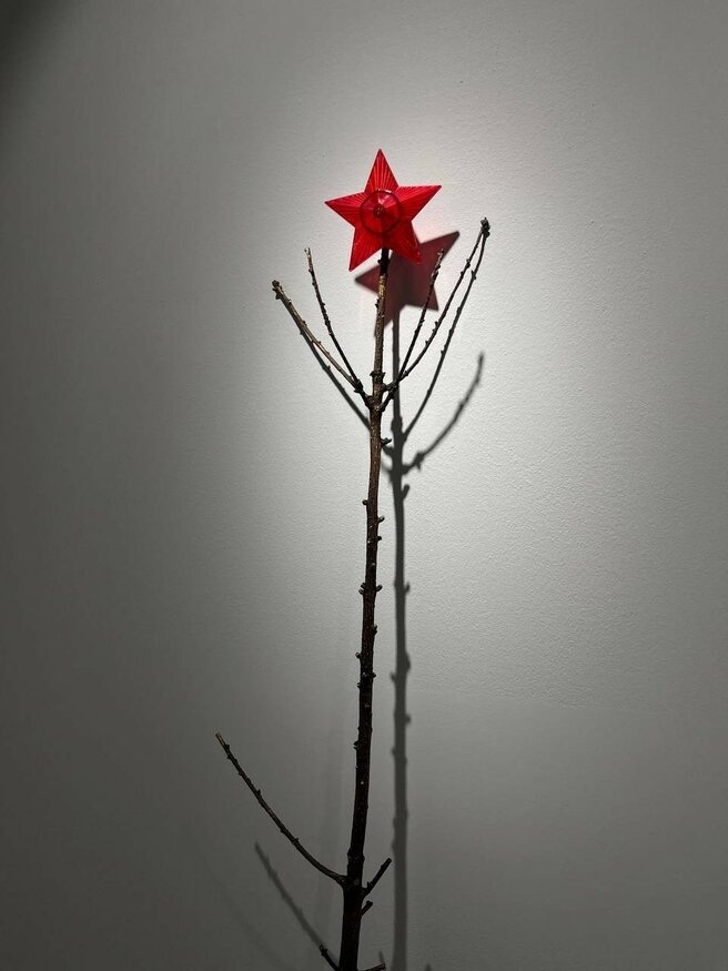 "Какой год - такие и ёлки!" Топ-10 новогодних ёлок по городам России