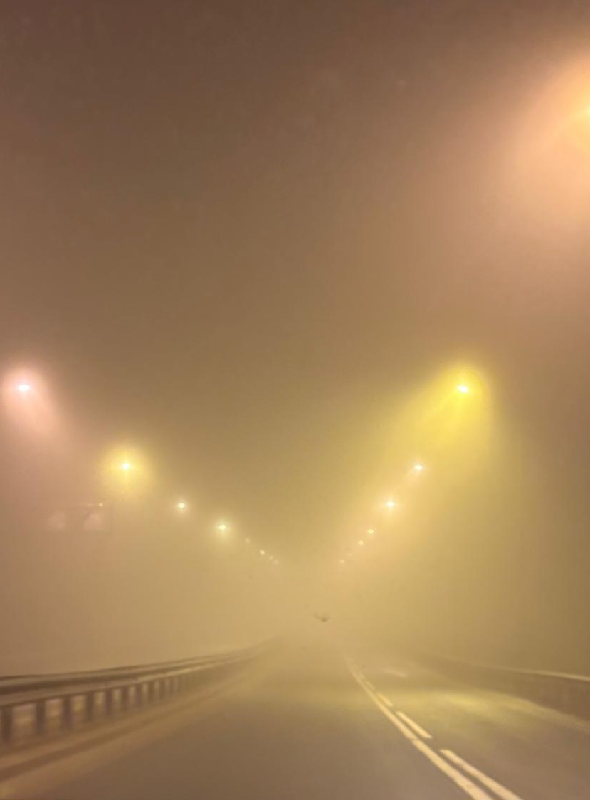 Фото сделано 27.12.2024