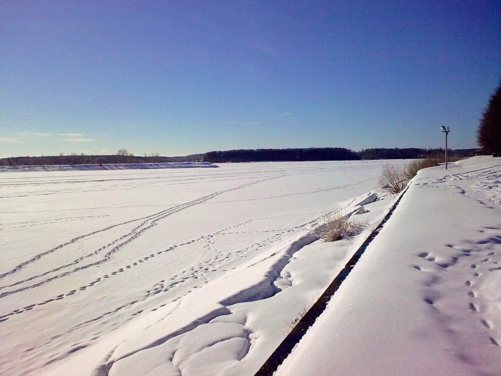 Берег Иваньковского водохранилища близ г. Дубны. Фото Ирины Ярич, март 2013 г.