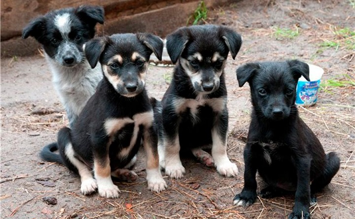 фото из Интернета