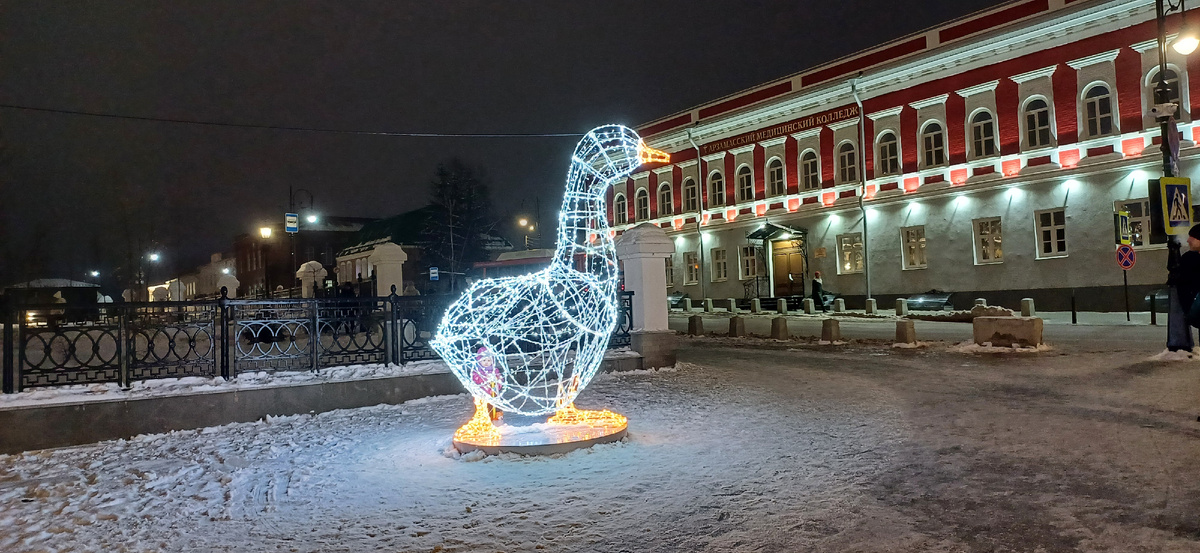 Гусь лапчатый у центральной площади