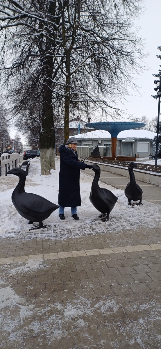 Гуси у музея Гайдара