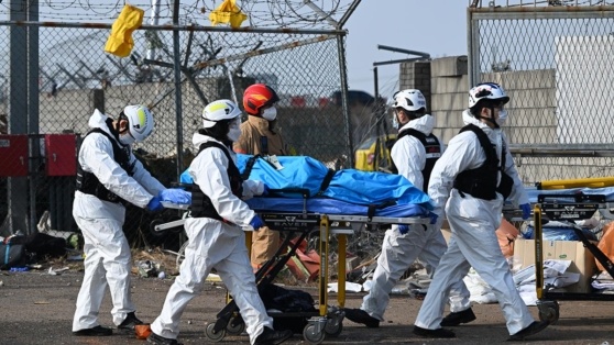    В Южной Корее объявили семидневный траур из-за крушения самолета Виктория Шварц