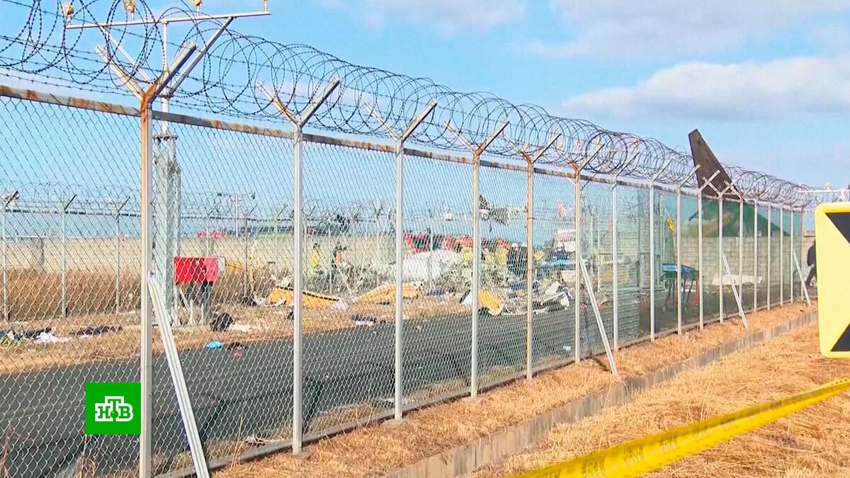    Двое выживших в авиакатастрофе в Южной Корее находились в хвосте самолета