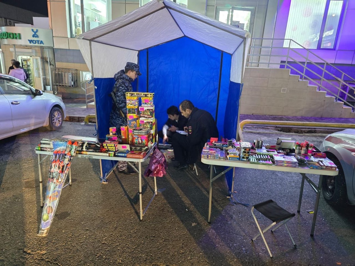    Фото: Telegram/Администрация Адлерского внутригородского района города-курорта Сочи