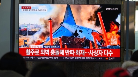    Власти Южной Кореи подтвердили гибель 179 человек в авиакатастрофе Виктория Шварц