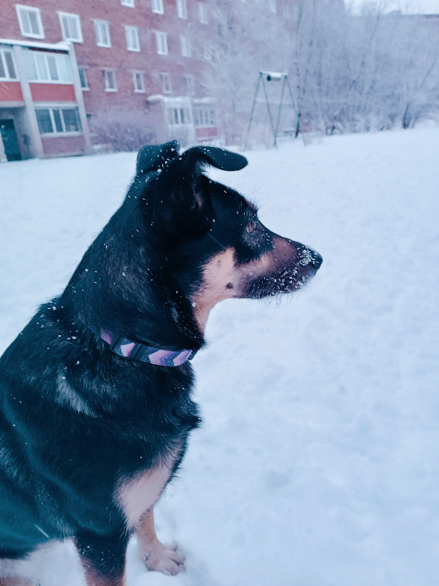 Лялька внимательно смотрит по сторонам