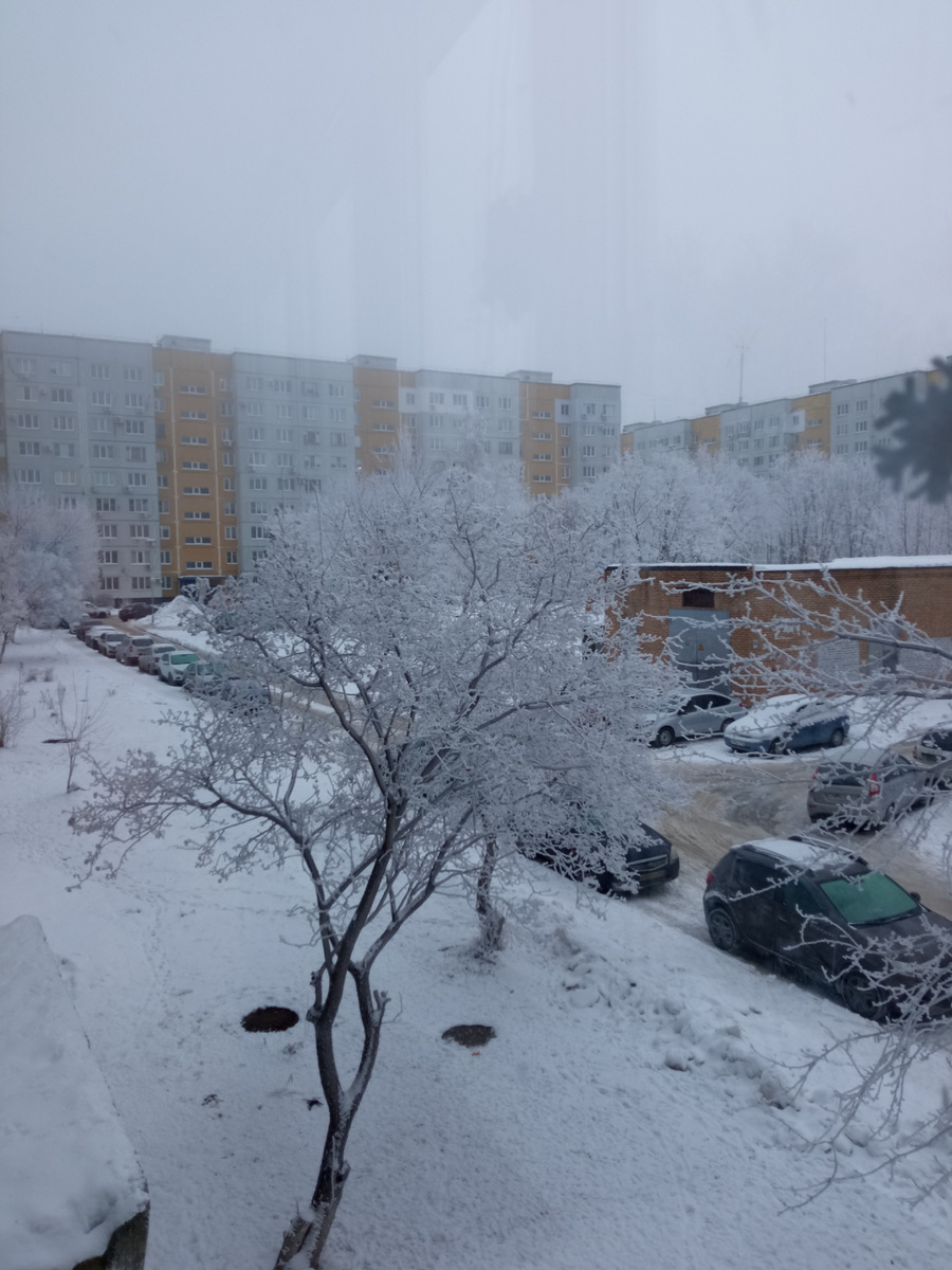 Шикарный вид из окна квартиры сестры. 