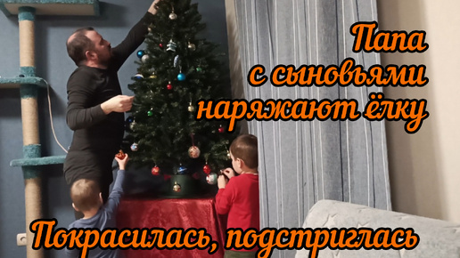 Как живет 24. Нищая квартира. Как живет 24. Как живет 24. Интерьеры домов знаменитостей.