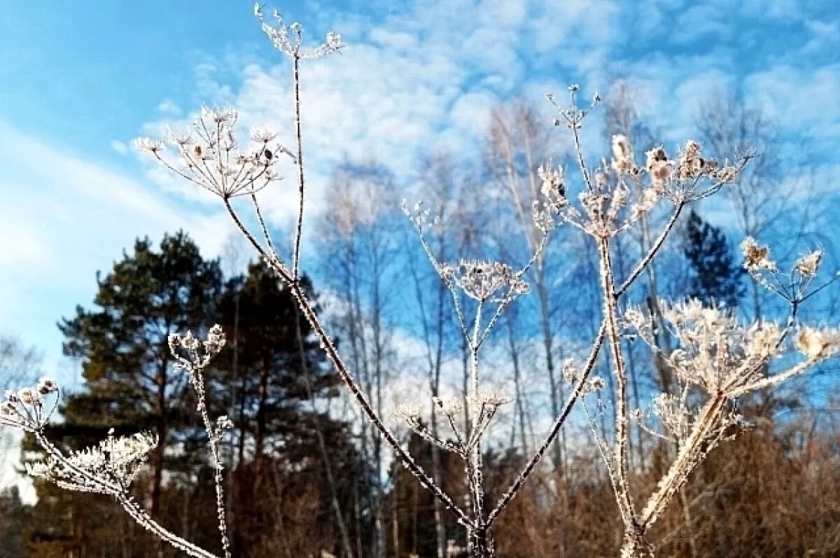    Потепление до минус 13 градусов будет в Чите 30 декабря