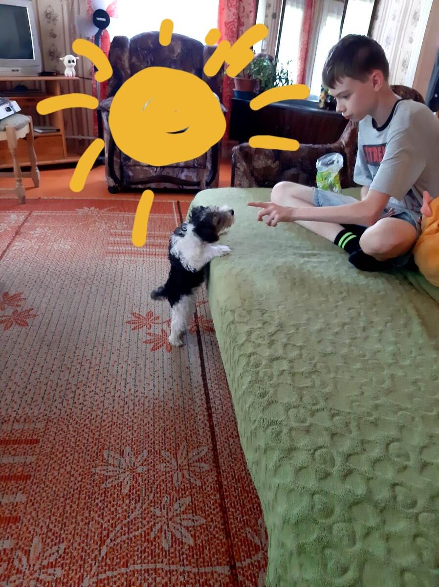 Мы тогда жили на даче