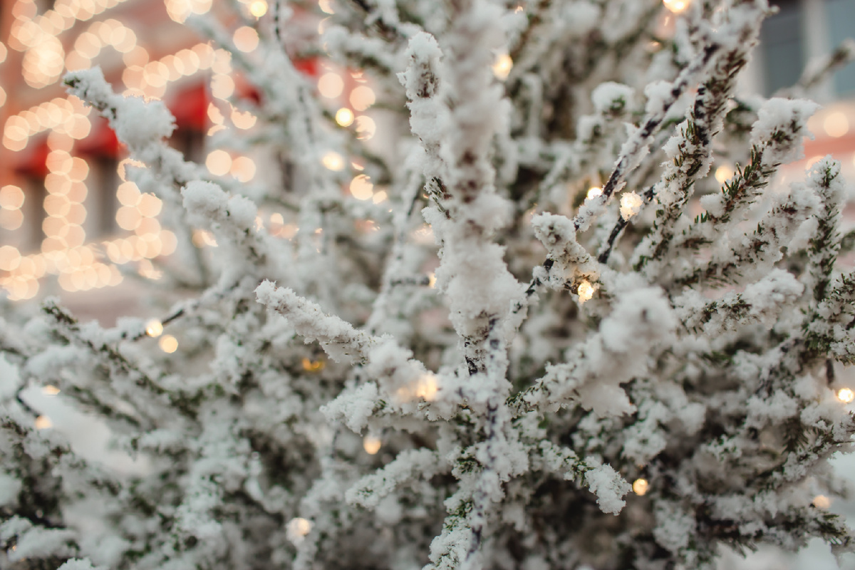 Фото студии братьев Яковлевых