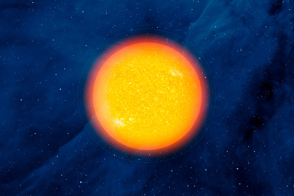    Фото: muratart / Shutterstock.com