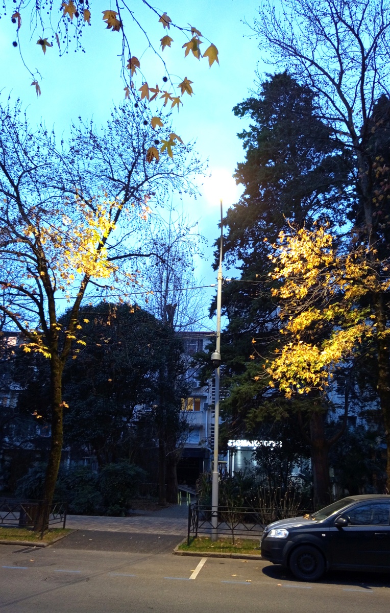 Вечер вчерашний.