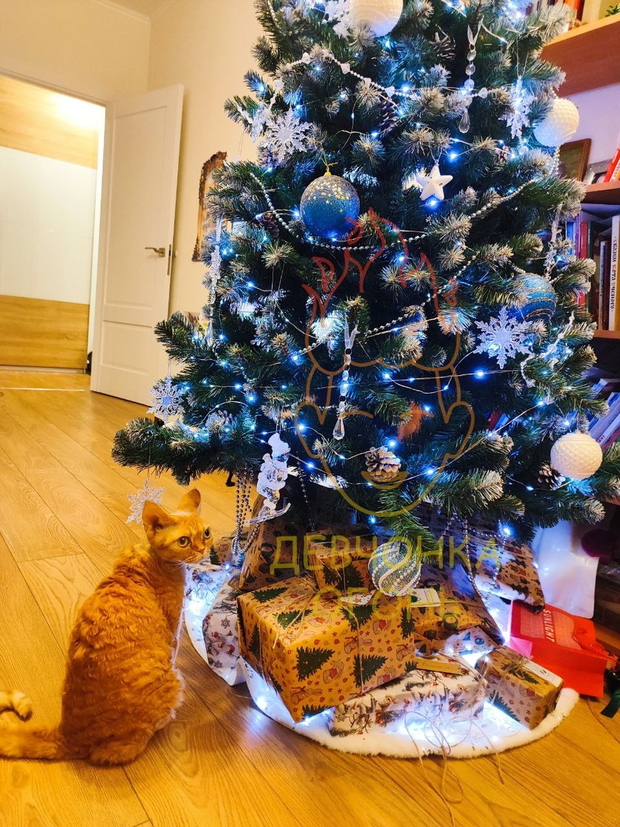 подарочки под ёлочкой