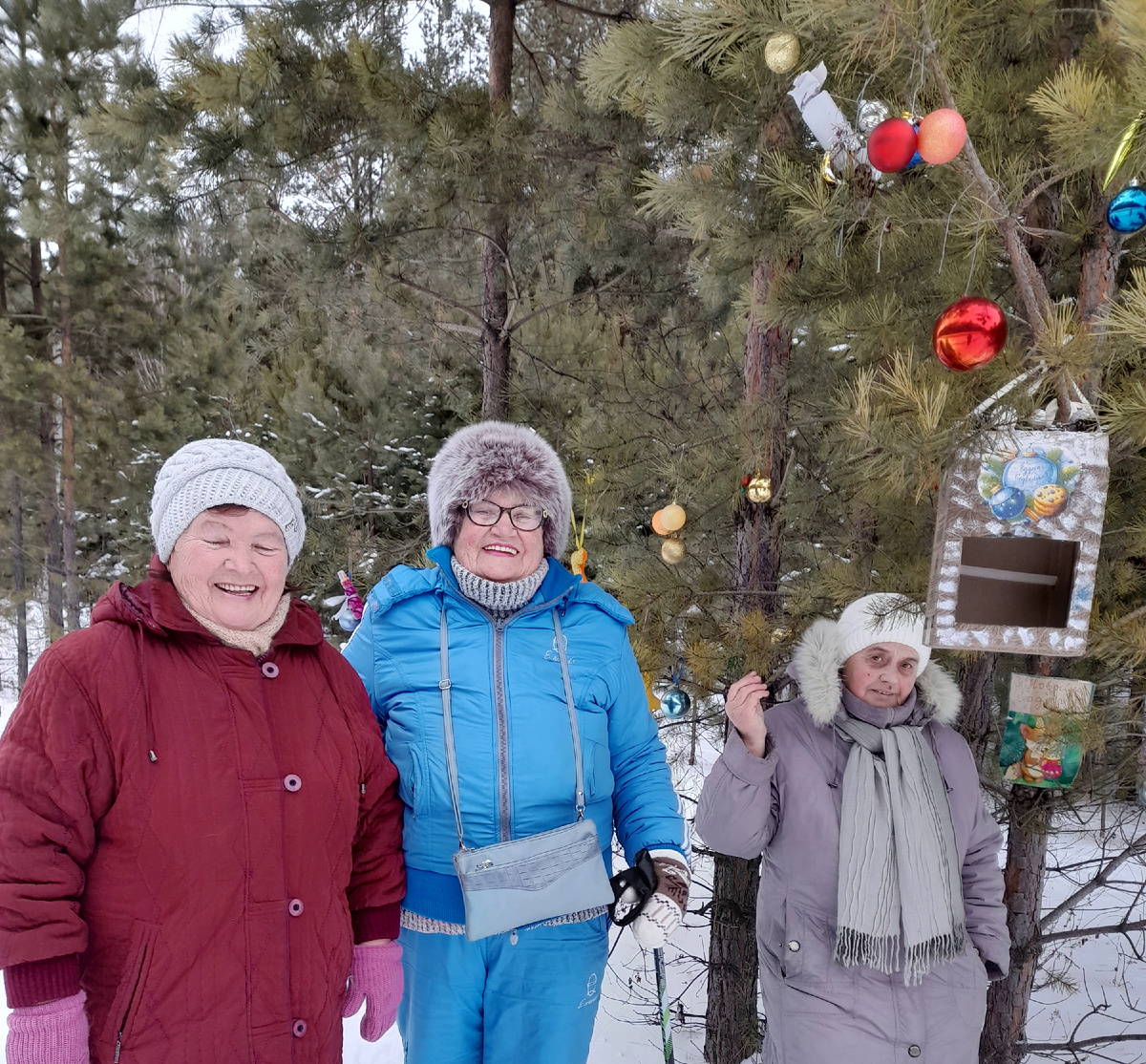 Фото автора канала. Я в сером у кормушки