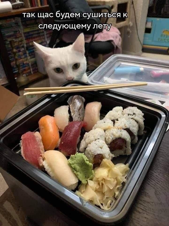 Картинка взята из открытого доступа в сети Интернет