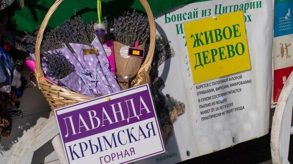    © РИА Новости Крым . Дмитрий Макеев