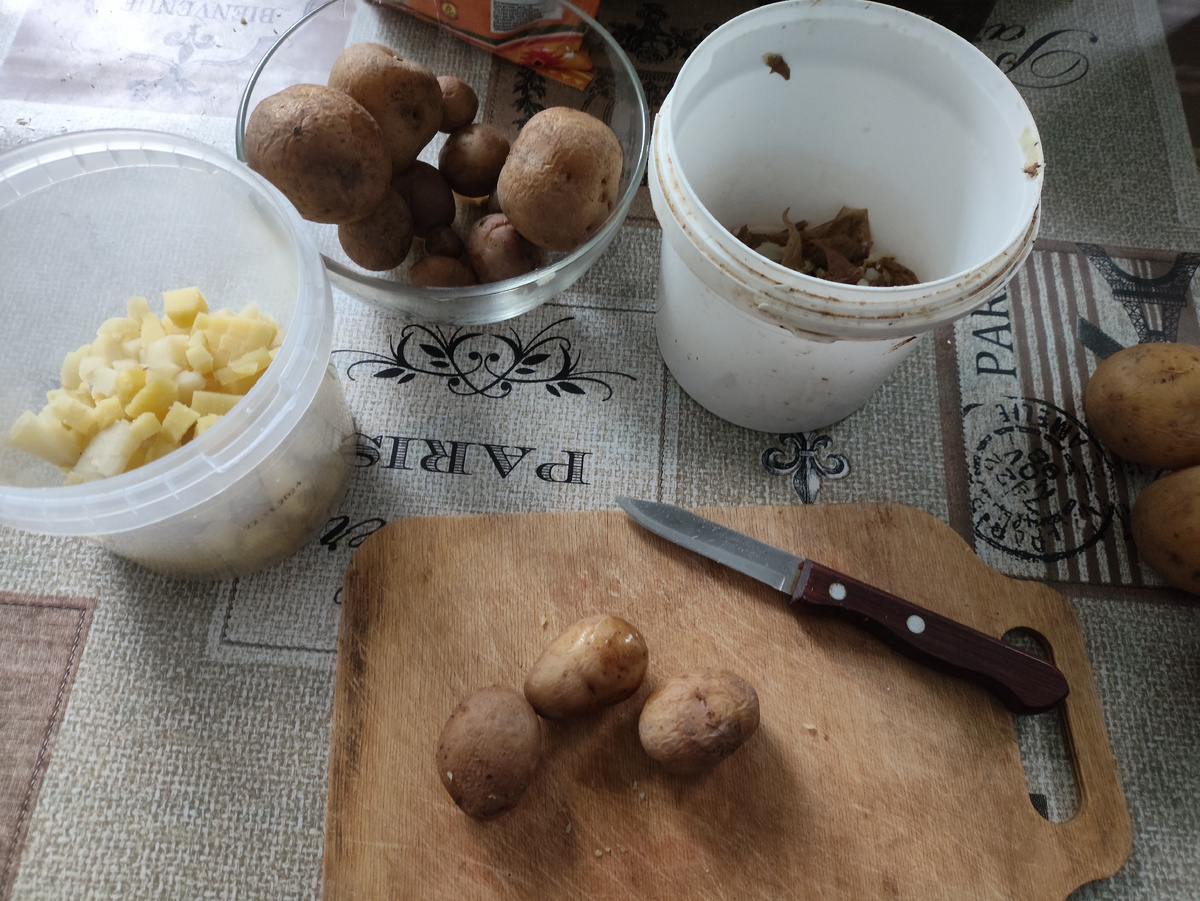 Собрала всю мелкую картошку и несколько покрупнее