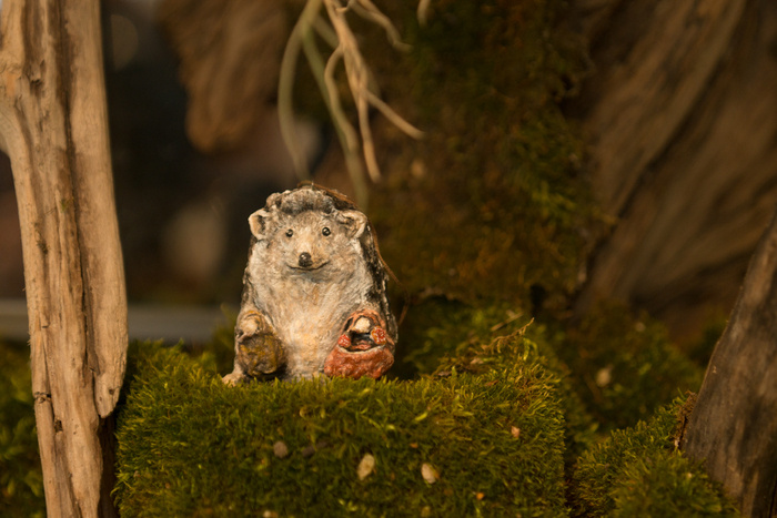 Листайте вправо, чтобы увидеть больше изображений