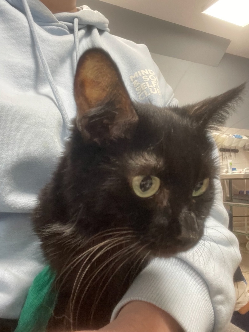 Дина не хочет фотографироваться