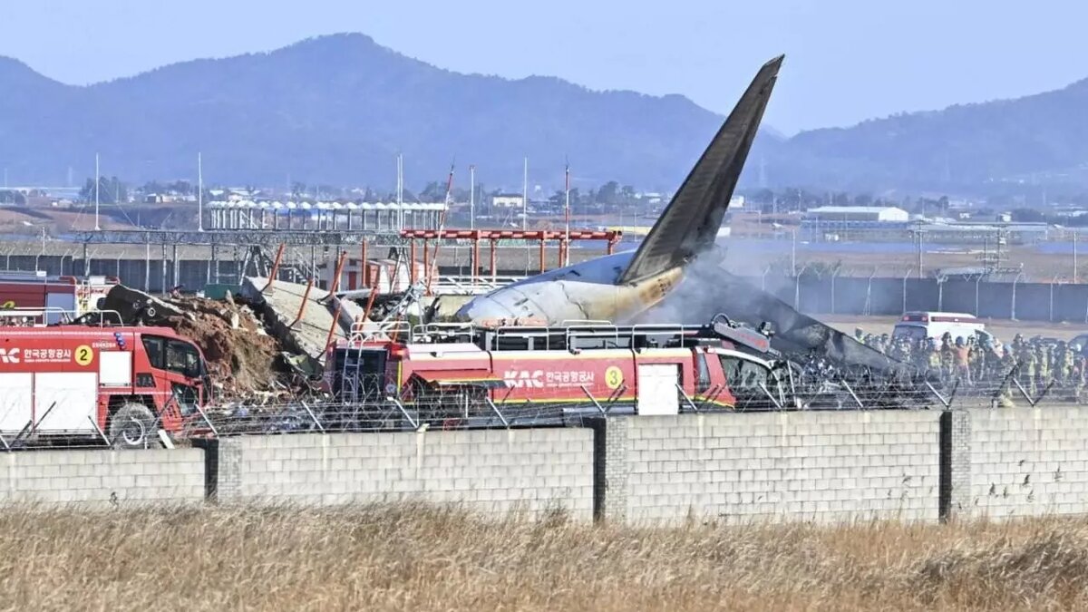 Подтверждены 179 погибших: что стало причиной авиакатастрофы в Южной Корее. Источник: соцсети
